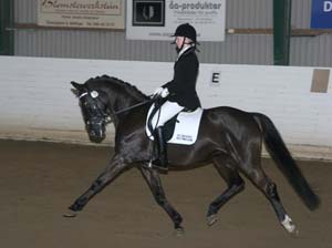 20080406_122444 Linda Hardbrant Mazette